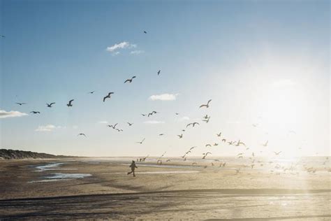 krokusvakantie belgische kust|Krokus: 9 leuke workshops aan zee! 